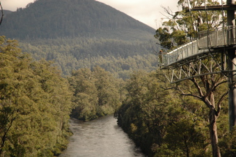 visit Tahune Forest air walk