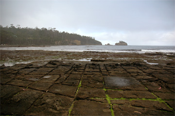 Tessellated Rock